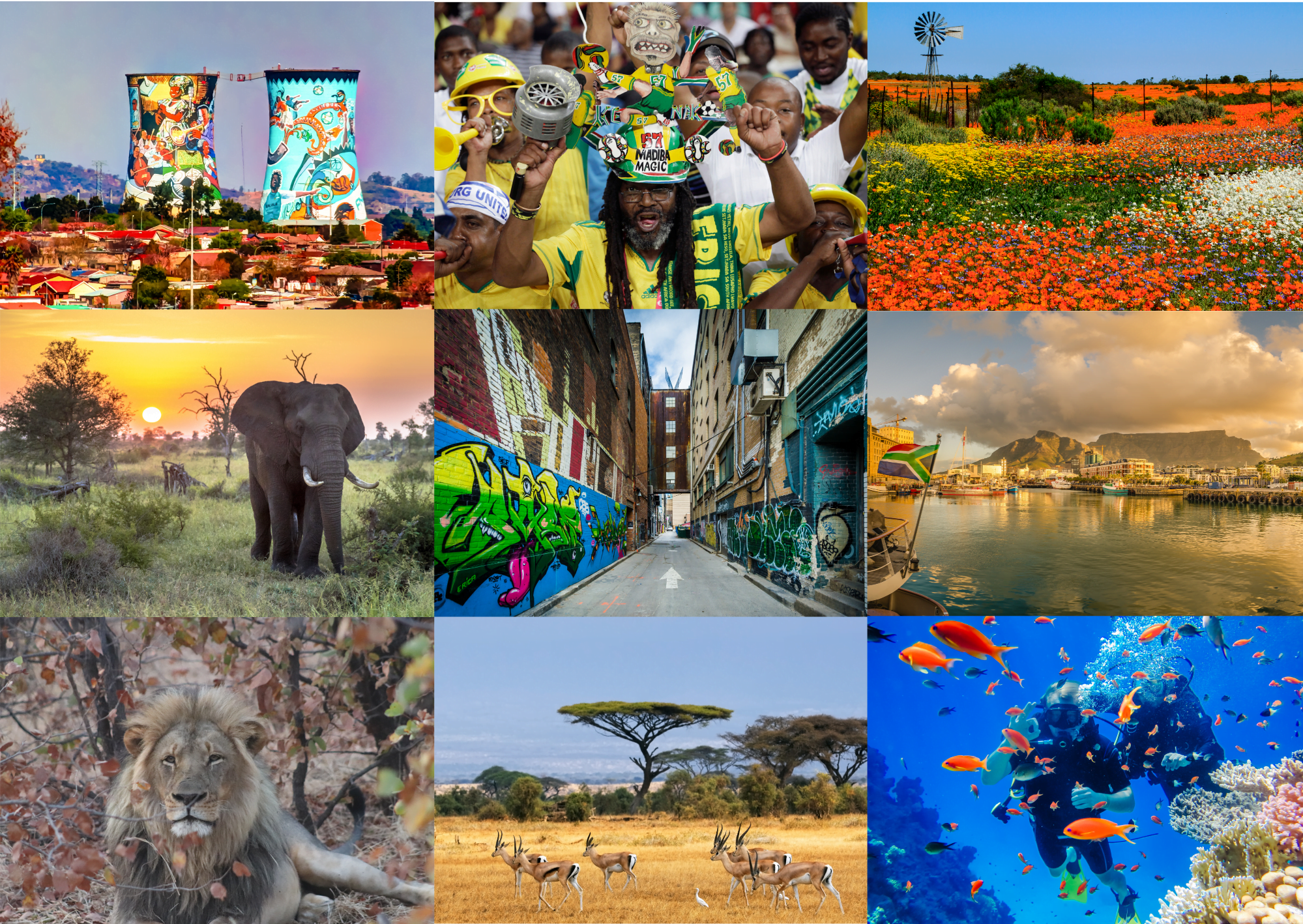 Sa Things Discover 15 best things to do in South Africa